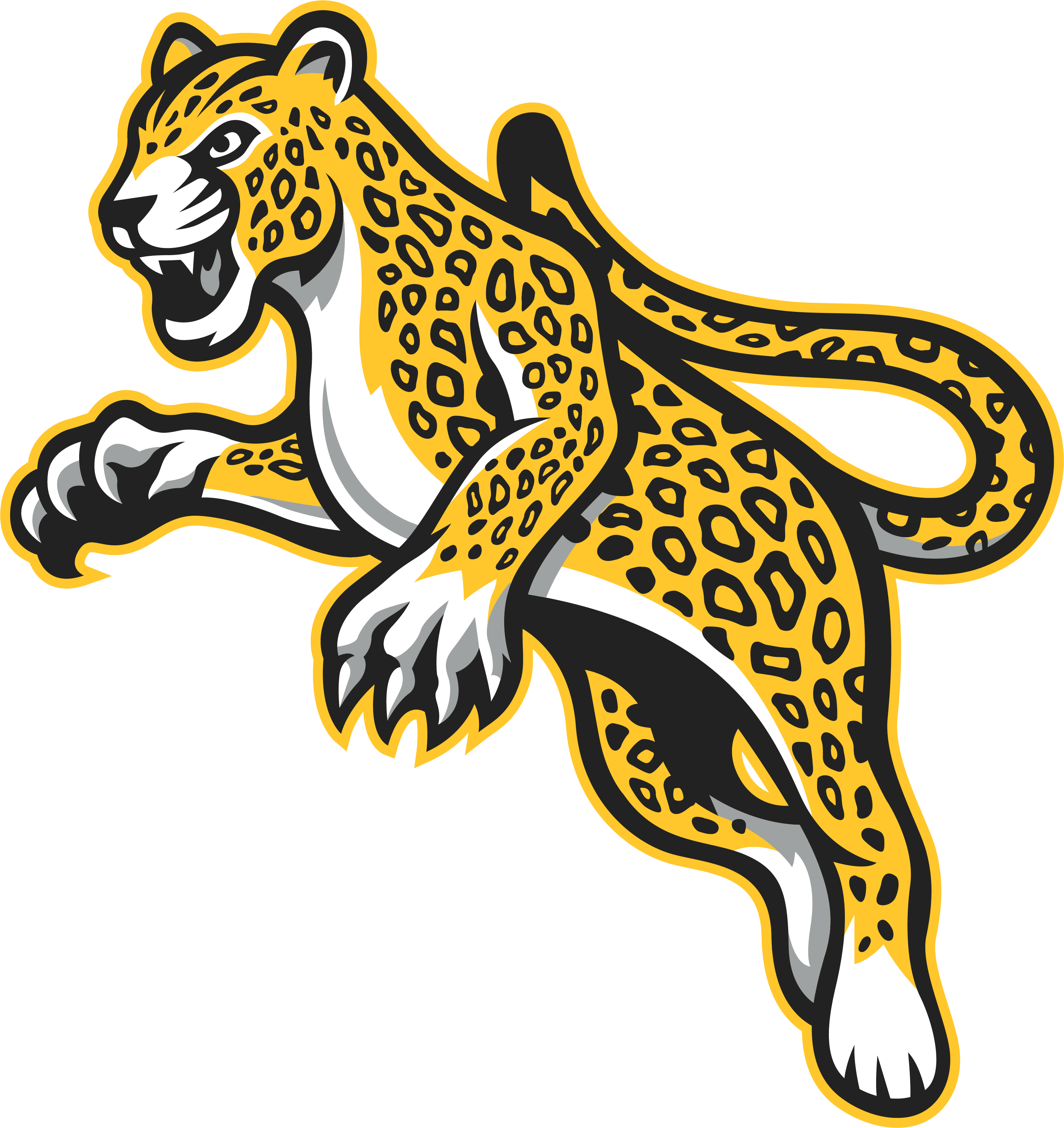 Mansueto Leopards Logo