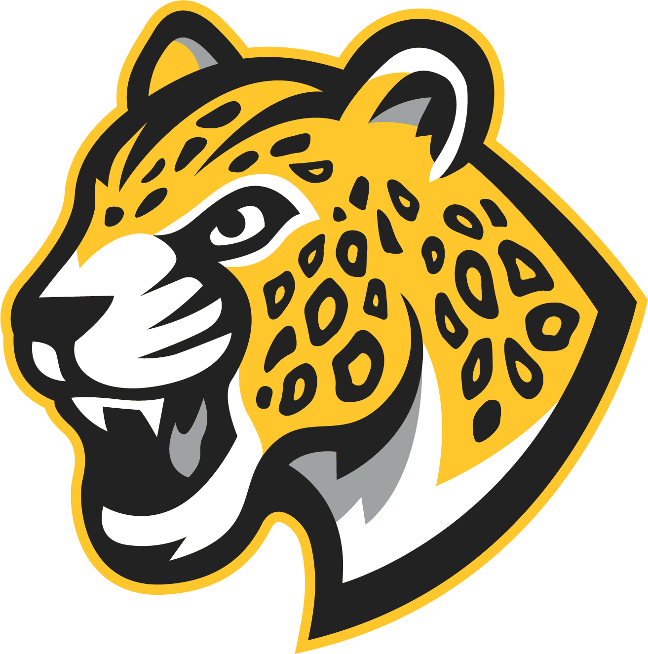 Mansueto Leopards Logo